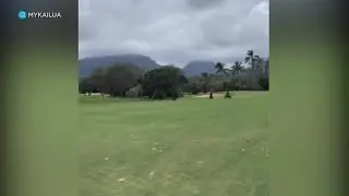 Dirt bike riders damage Windward country club golf course