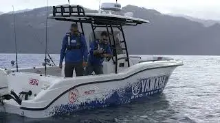 Seagame 250 CC Yamaha Portugal