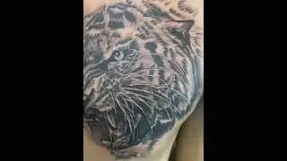 Tiger Tattoo tại Cao H&ugrave;ng, Đ&agrave;i Loan