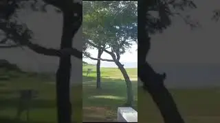 Bienvenido a Pesca Los Escamudos