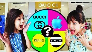 Spin The MYSTERY Wheel & BUYING Whatever It Lands On Challenge! | Emily and Evelyn