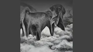 Ancestral