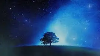 Free Background Video Loop | Night Sky Video background | Download Free Background