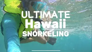[4K] BEST SNORKELLING IN HAWAII?! Tunnels Beach, Kauai