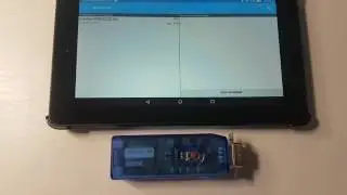 Bluesnap