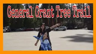 adventure at General Grant Tree Trail| #kingscanyonnationalpark #kingcanyon #sequoia #grantgrove