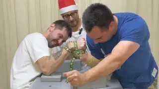 Армфайты, сиба ину и новый год!