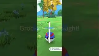 (SHINY) Grookey #pokemon #pokemongo #pokemonchannel #pok&eacute;mon #grookey  #shiny #short #shorts
