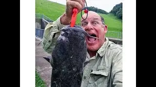 2018-08-15 Taylorsville Lake Dam tailwaters KY fishing, Flatheads !