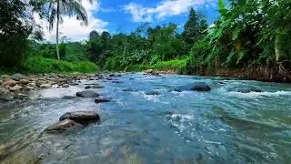 Healing River Flow Under Blue Sky &ndash; Calming Water ASMR for Sleep & Focus