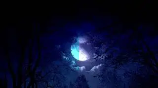SHADXWBXRN, Leah Julia - NIGHTMARE (Slowed)