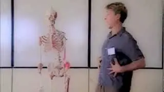 Stephen West ~ The Psoas muscle and TRE