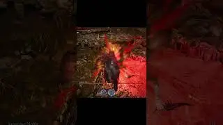 Sanguine Noble vs Blood Loss #eldenring #eldenringnightreign #gaming