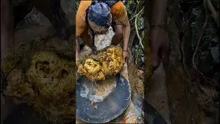 The process of finding gold | finding gold in bedrock fragments | finding gold nuggets worth $3.579