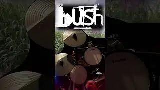Bush - Cold Contagious (Drum Cover) #rockmusic #bush #drums
