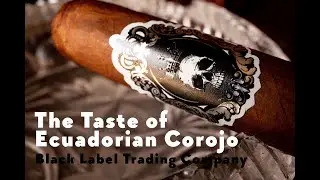 Black label Trading Company Royalty Gordo