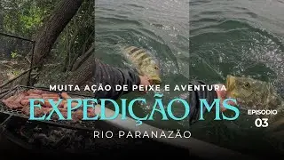 ✅ AÇÃO SEM PARAR! TUCUNARÉ ATACANDO O DIA TODO 🎣🔥