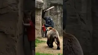 Unbelievable Zoo Rescue | Gorilla Saves a Boy #boar #animals #gracefulfashion