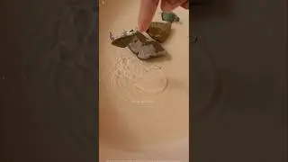 🐢Halk gadu karichesadu bayyo🤯 #halk #turtle #redearedsliderturtle #attack #fun #trending #viralshort