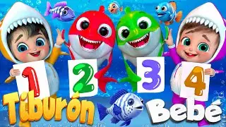 Beb&eacute; Tibur&oacute;n Amigos del Mar | canciones infantiles y rimas infantiles  @SuperLucaEspanol