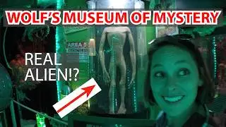 The Most Haunted Place: Wolfs Mystery Museum (St. Augustine, FL)