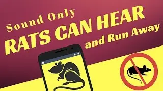Sound Only Rats Can Hear & Run Away