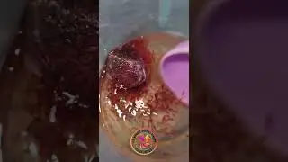 Blood worm Frozen Feed #fish #kerala #fish #breeding #bloodworm #guppy #shorts #pets #food #diy