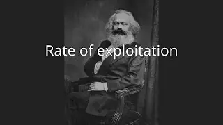 Rate of exploitation