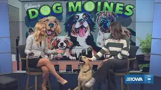 Paws & Pints shares fun events happening in February