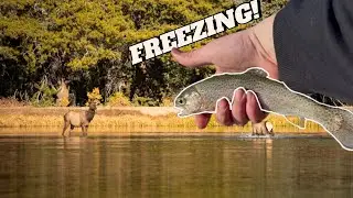 3 hours of FREEZING temperatures to find ELK and TROUT