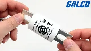 Galco's Huge Selection of Fuses