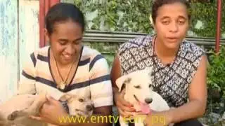 RSPCA of Papua New Guinea for the Pet Adoption Program