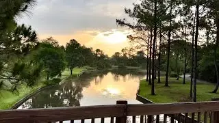 Walk With Me | Saratoga Springs 7am Sunrise Stroll | Walt Disney World Resort