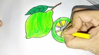 How to draw a lemon Step by Step ||Nasrin Art||