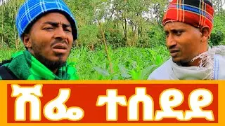ሽፌ ተሰደደ || he Mysterious Escape – ድንቅ ታሪክ በአማርኛ (Ethiopian Story)