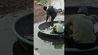 Live fish 🐠🐠 catching up on the boat by the people in the lake after finishing
