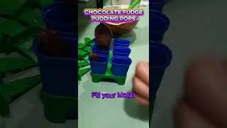 Chocolate Fudge Pudding Pops #frugal #frozentreats #budgetcooking