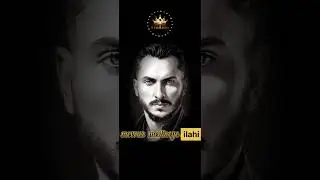 mevruz medineye ilahija 2025