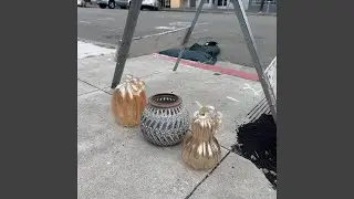 State of Nature