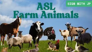 🐮 ASL Farm Animals | Learn Animal Signs for the Farm! 🚜🐔🐴