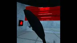 Scary baboon AGAIN, WATCH TILL THE END!!!!