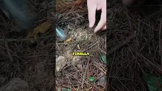 Million Dollar Treasure Hunt 🤯