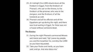 EXODUS 12 NIV AUDIO BIBLE with text