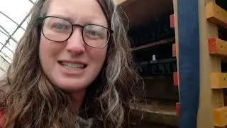 Cheap DIY Seedling Germination Chamber with Crock Pot!