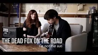 THE DEAD FOX ON THE ROAD - I'm not the sun