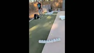 #гольф⛳ трюк на паттинге длинный петлевой удар 3 #короткий