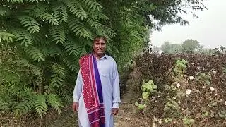 Daso Dilbar Koon Tain Bajhon | Saraiki Song | Punjabi Folk Song | Traditional Music