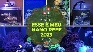 Esse é meu Nano Reef 2023 - Vídeo nº1