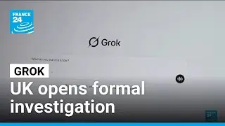 UK launches investigation into Musk's Grok amidst global backlash &bull; FRANCE 24 English