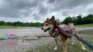 Earth Day Special: OUTSIDE EDITION (☞ﾟヮﾟ)☞ SHIBA DOG ☜(ﾟヮﾟ☜) Save the Planet, Zo